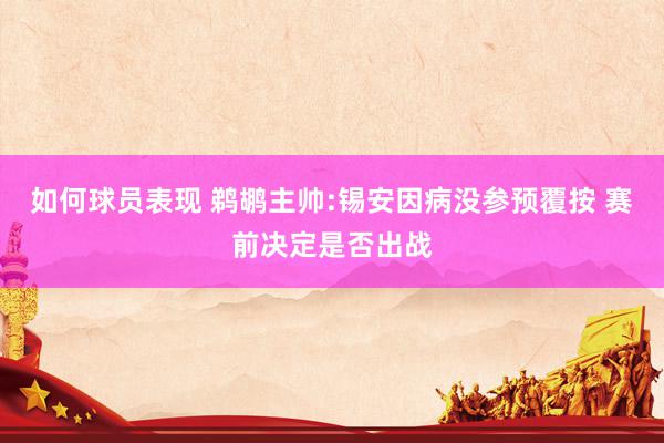 如何球员表现 鹈鹕主帅:锡安因病没参预覆按 赛前决定是否出战