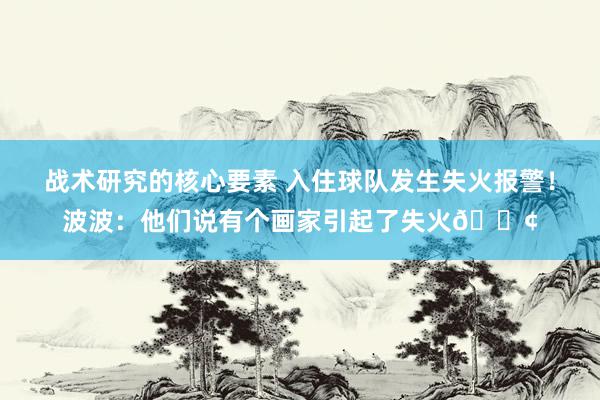 战术研究的核心要素 入住球队发生失火报警！波波：他们说有个画家引起了失火💢