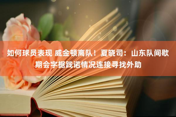 如何球员表现 威金顿离队！夏晓司：山东队间歇期会字据践诺情况连接寻找外助