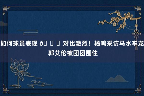 如何球员表现 😂对比激烈！杨鸣采访马水车龙 郭艾伦被团团围住