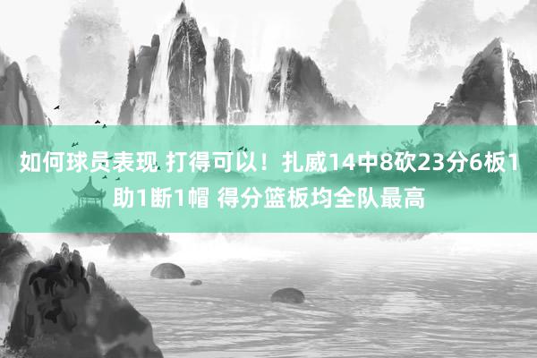 如何球员表现 打得可以！扎威14中8砍23分6板1助1断1帽 得分篮板均全队最高