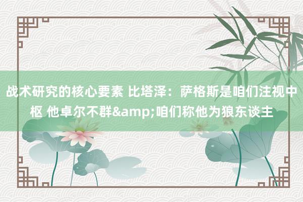 战术研究的核心要素 比塔泽：萨格斯是咱们注视中枢 他卓尔不群&咱们称他为狼东谈主