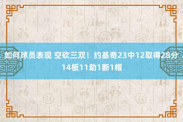 如何球员表现 空砍三双！约基奇23中12取得28分14板11助1断1帽