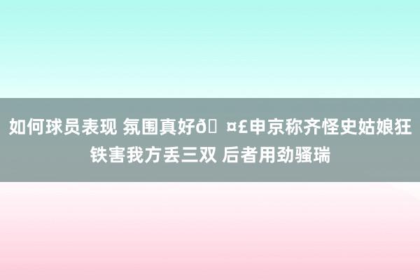 如何球员表现 氛围真好🤣申京称齐怪史姑娘狂铁害我方丢三双 后者用劲骚瑞