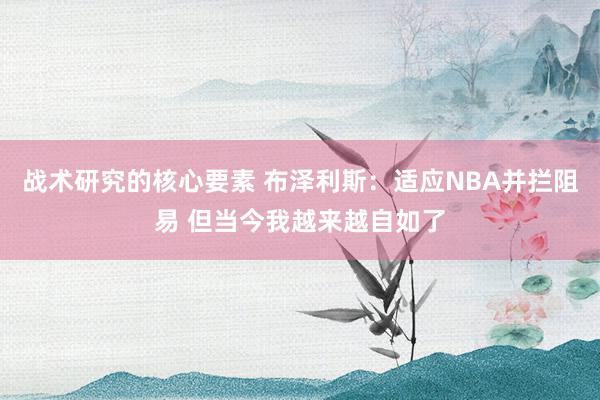 战术研究的核心要素 布泽利斯：适应NBA并拦阻易 但当今我越来越自如了