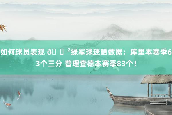 如何球员表现 😲绿军球迷晒数据：库里本赛季63个三分 普理查德本赛季83个！