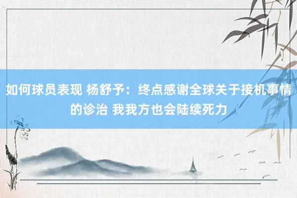 如何球员表现 杨舒予：终点感谢全球关于接机事情的诊治 我我方也会陆续死力