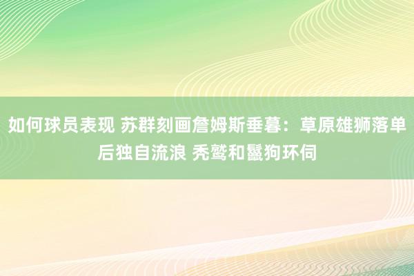 如何球员表现 苏群刻画詹姆斯垂暮：草原雄狮落单后独自流浪 秃鹫和鬣狗环伺