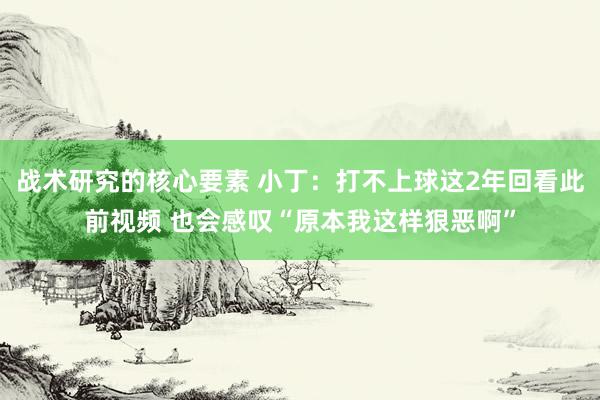 战术研究的核心要素 小丁：打不上球这2年回看此前视频 也会感叹“原本我这样狠恶啊”