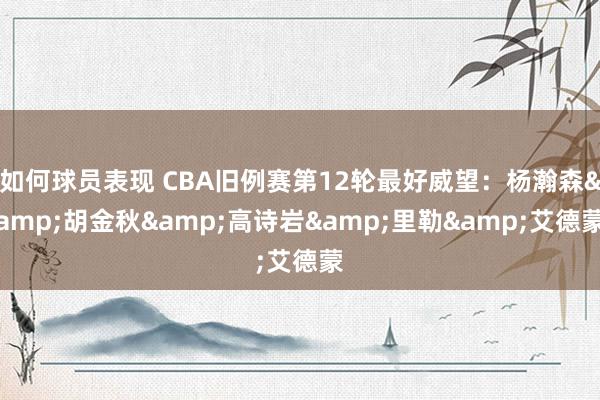 如何球员表现 CBA旧例赛第12轮最好威望：杨瀚森&胡金秋&高诗岩&里勒&艾德蒙