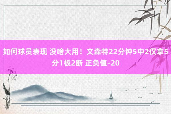 如何球员表现 没啥大用！文森特22分钟5中2仅拿5分1板2断 正负值-20