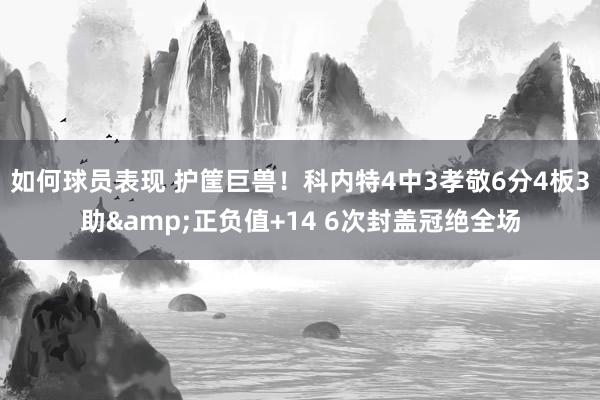 如何球员表现 护筐巨兽！科内特4中3孝敬6分4板3助&正负值+14 6次封盖冠绝全场