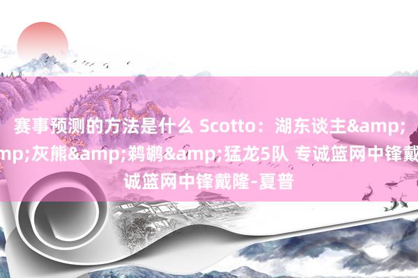 赛事预测的方法是什么 Scotto：湖东谈主&快船&灰熊&鹈鹕&猛龙5队 专诚篮网中锋戴隆-夏普