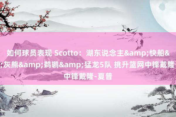 如何球员表现 Scotto：湖东说念主&快船&灰熊&鹈鹕&猛龙5队 挑升篮网中锋戴隆-夏普