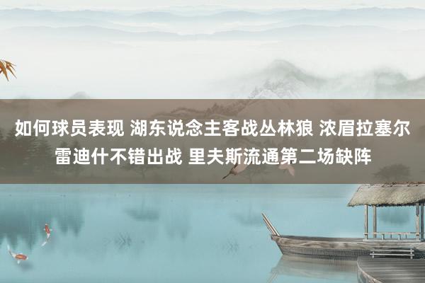 如何球员表现 湖东说念主客战丛林狼 浓眉拉塞尔雷迪什不错出战 里夫斯流通第二场缺阵